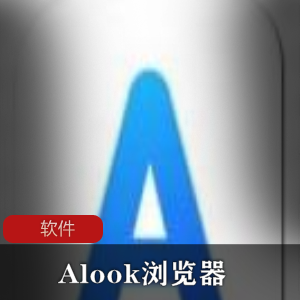 （Alook浏览器）安卓下载