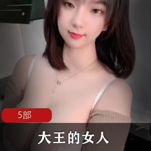 女人的大王，5部